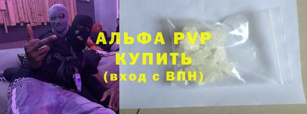 PSILOCYBIN Балахна